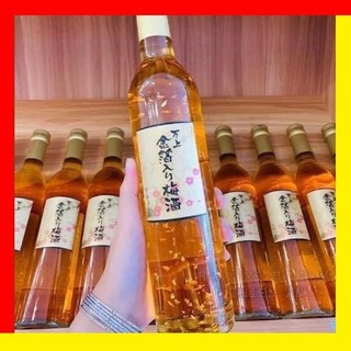 🥂 rượu mơ vảy vàng kikkoman nhật bản (chai 500ml