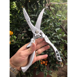 Kéo cắt gà cao cấp Zwilling Đức