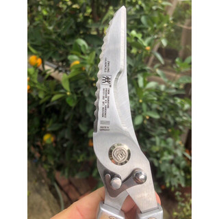 Kéo cắt gà cao cấp Zwilling Đức