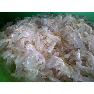 Sứa biển ăn liền