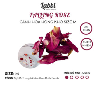 Hoa trang trí bồn tắm FALLING ROSE [Labbi] Hoa hồng sấy lạnh / Cánh hoa hồng khô Trang trí bồn tắm