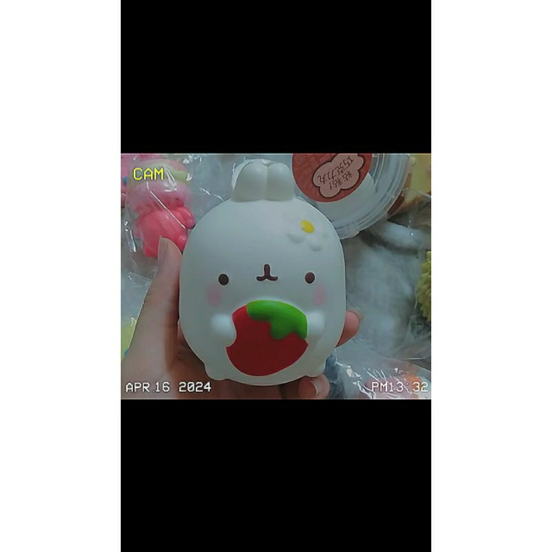 💥 [ mới ] squishy thỏ Molang