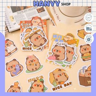 Set 30 Sticker Capybara Size To, Rõ, Đẹp Dùng Để Trang Trí Hanyyshop
