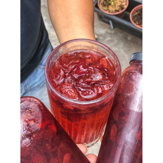 [MMDT] • MẬT DÂU TÂY 🍓 _ CHAI 1.400gr