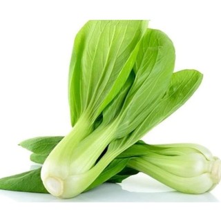 Hạt giống rau cải chíp gói 20gr☘️