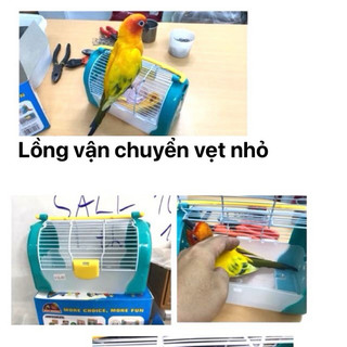 Lồng vận chuyển vẹt nhỏ , hamster , sóc , bọ ..