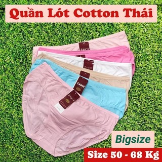 Combo 5 quần, 10 quần lót nữ cotton thái bigsize mịn mát, quần chip nữ đẹp
