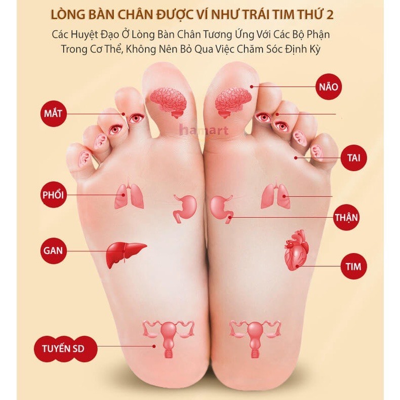 Dán Thải Độc Chân Ngải Cứu LAO BEIJING Miếng Dán Chân Thải Độc Chân Giúp Thư Giãn - Ngủ Ngon - Giảm Nhức Mỏi