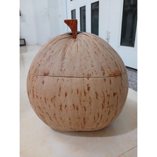 Vỏ giữ ấm bình trà trái dừa không sơn
