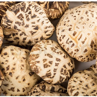 400gr nấm đông cô hoa nhật - loại 1 to, thơm, dày thịt
