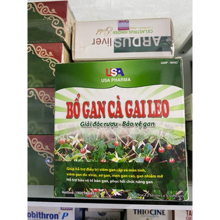 Bổ gan cà gai leo,hỗ trợ làm mát gan giải độc gan