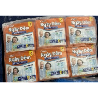 Tả Dán Caryn Ngày và đêm M/L10 miếng Hương bạc hà