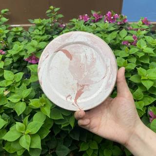 Dĩa lót chậu đất nung nhiều size (7cm - 18cm)
