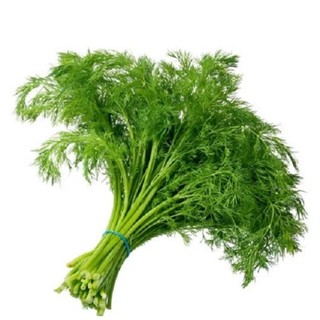 Hạt giống rau thì là 10g🍀☘️☘️