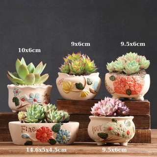 Chậu Trồng Cây Mini Gốm Sứ Họa Tiết Giả Cổ Thích Hợp Trồng Sen Đá Xương Rồng Nhiều Kích Thước Mẫu Mã