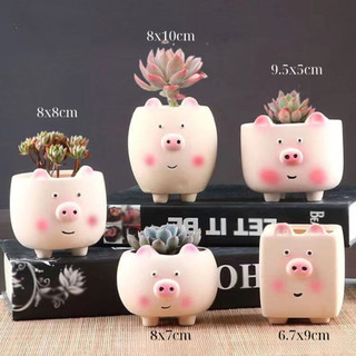 Chậu Đất Nung Trồng Cây Mini Heo Hồng Biểu Cảm Đáng Yêu Thích Hợp Trồng Xương Rồng Sen Đá Cây Văn Phòng Trang Trí Decor
