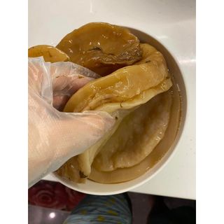 Scoby Làm Trà Kombucha
