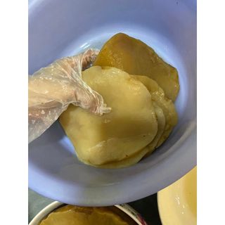 Scoby Làm Trà Kombucha