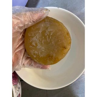 Scoby Làm Trà Kombucha