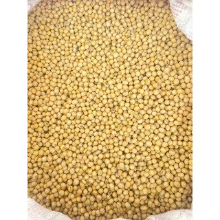Đậu nành đà lạt, đỗ nành , đậu nành sạch giá rẻ 1kg