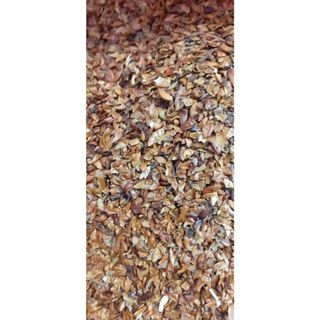50gram hạt giống cây bằng lăng