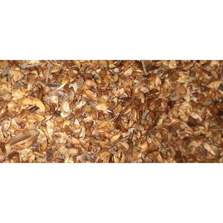 50gram hạt giống cây bằng lăng