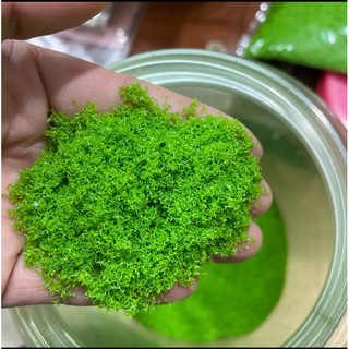 Bột cỏ nhựa làm cây, thảm cỏ mô hình - Bột cỏ- Rêu sợi …