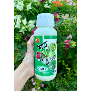 Super root 500ml đẻ nhánh ra rễ siêu nở bụi đẻ nhiều nhánh ra rễ cực mạnh