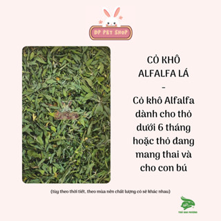 [HÀNG MỚI VỀ] Cỏ Alfalfa Lá Siêu Ngon, Siêu Thơm Cho Những Bé Lười Ăn Cọng - Thỏ Đan Phượng