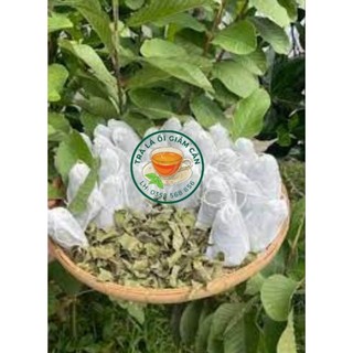 Trà Lá Ổi Giảm Cân