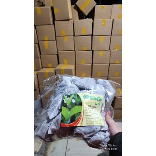 Trà Lá Ổi Giảm Cân