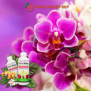 Phân Bón Ami Green Chai 1 Lít - Phân Bón Sinh Học - Tốt rễ, bật mầm, xanh lá