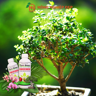 Phân Bón Ami Green Chai 1 Lít - Phân Bón Sinh Học - Tốt rễ, bật mầm, xanh lá