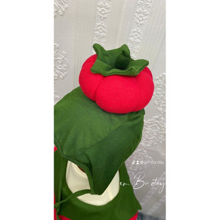Suit cà chua cho bé