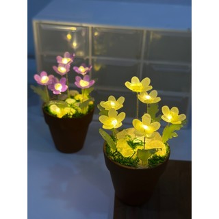 Đèn led chậu cúc họa mi - dùng làm decor, đèn ngủ, làm quà tặng nhỏ cực xinh