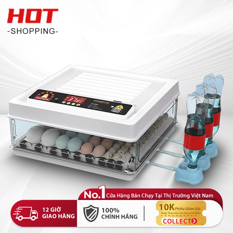 Máy ấp trứng tự động 48-64 ngăn Máy Ấp Trứng Gà Tự Động Tiện Lợi