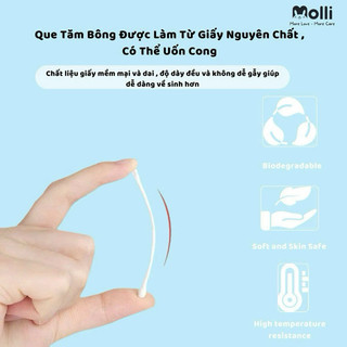 Tăm bông thân giấy Molli cho bé 200c/hộp