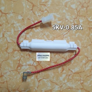 Cầu chì lò vi sóng