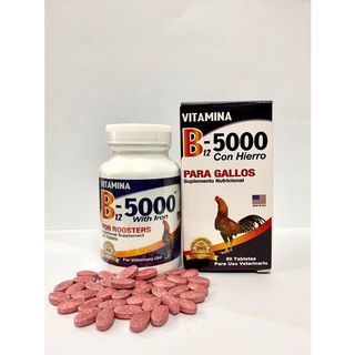 B12 5000 - Tăng nước máu cho gà cao cấp của Mỹ