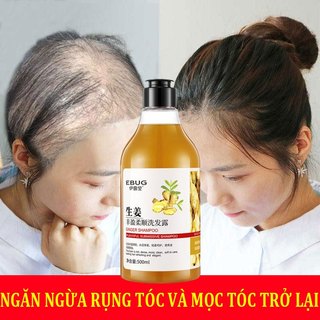 Dầu gội gừng dầu gội kích thích mọc tóc 500ml dầu gội trị rụng tóc dầu gội trị gàu kiểm soát dầu 