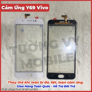 Cảm Ứng Y69 Vivo