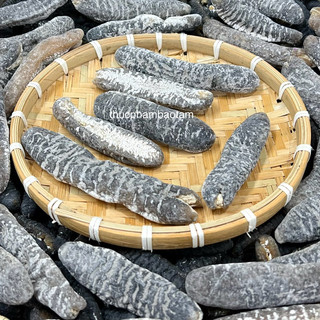 (KHO SỈ) HẢI SÂM CÁT PHÚ QUỐC SIZE ĐẠI - hàng loại 1