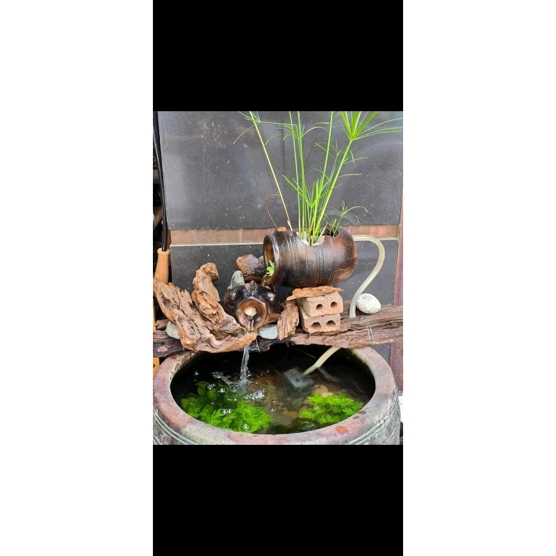 thác thủy Sinh và cá thủy sinh combo 2 món