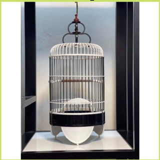 Lồng nuôi chim vành khuyên Thái Tử, lồng chim decor phong cách sang trọng hình gia Birdcages