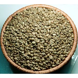 Cà phê Robusta Bảo Lộc - cà phê nguyên chất Nhân sống chưa rang sơ chế phơi khô thủ công [ 1 KÝ ]