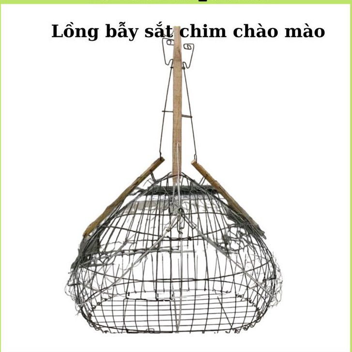 Lồng sắt, lồng bẫy sắt cứng cáp cho 2 loại chim chào mào và khuyên siêu nhạy và an toàn Birdcages