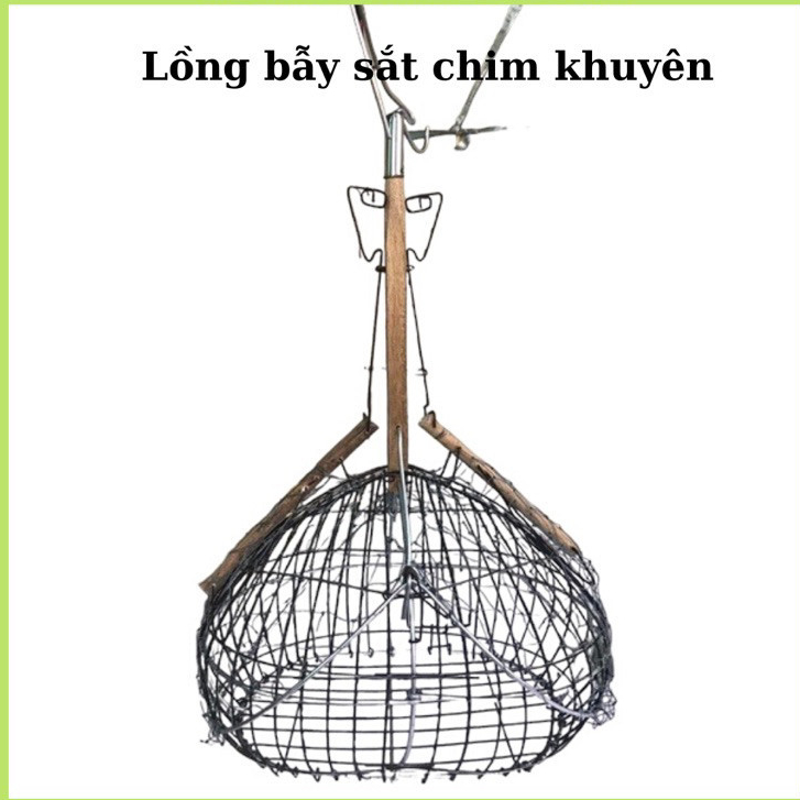 Lồng sắt, lồng bẫy sắt cứng cáp cho 2 loại chim chào mào và khuyên siêu nhạy và an toàn Birdcages