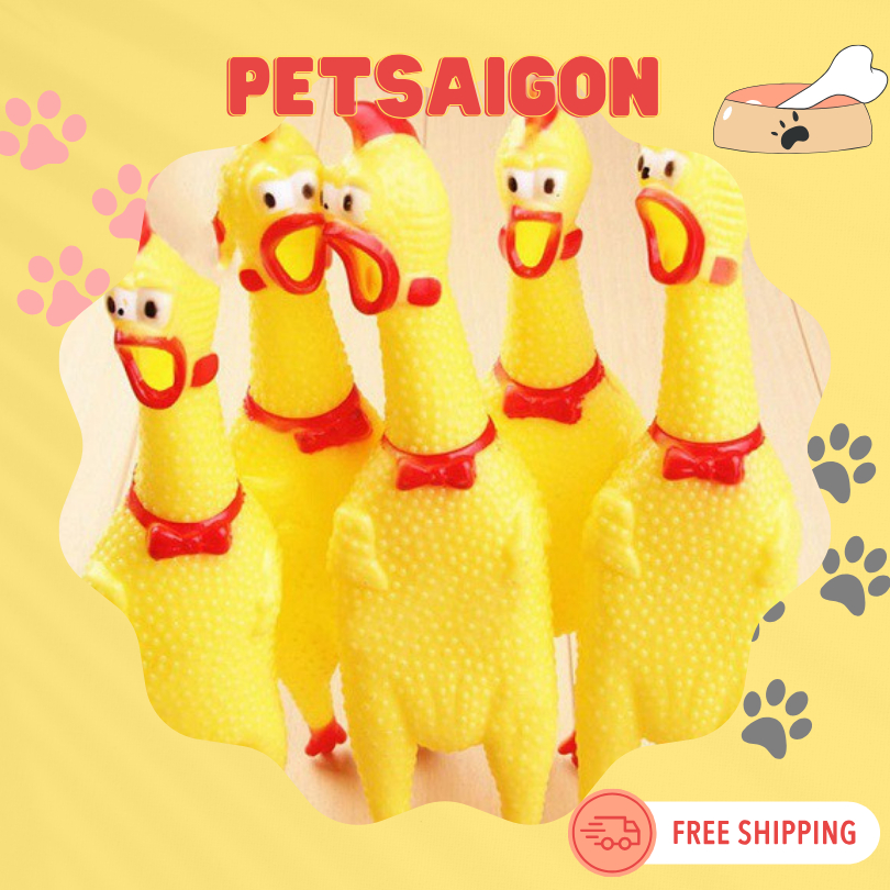 ĐỒ CHƠI CON GÀ CÓ CÒI CHO CHÓ MÈO