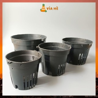 Chậu nhưa trồng lan nhiều size màu đen chậu trồng cây phong lan
