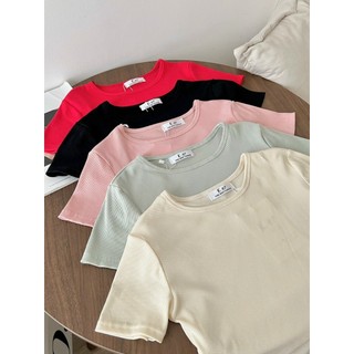 Áo babytee thun tăm cotton trơn co giãn dáng ôm basic cho nữ LACO194